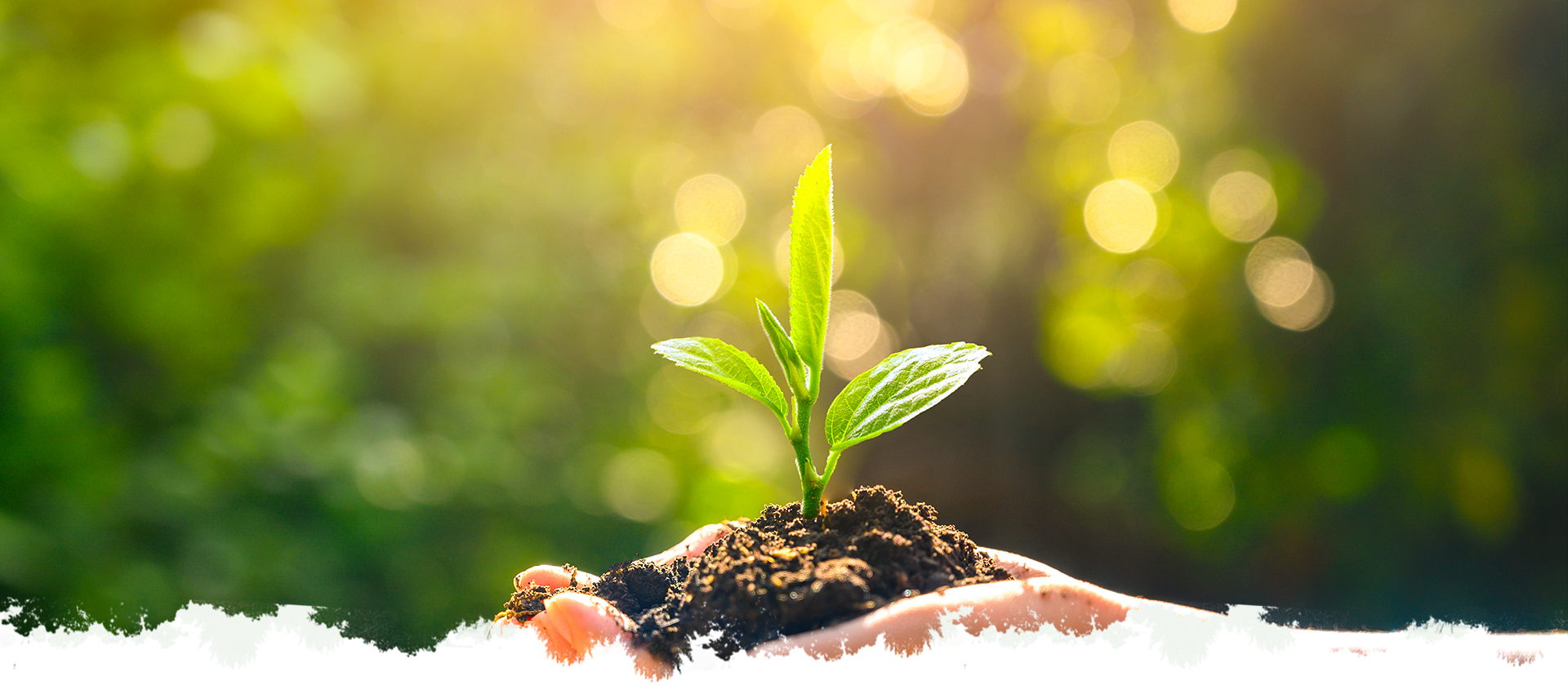 贝斯特 - 全球最奢华的游戏平台