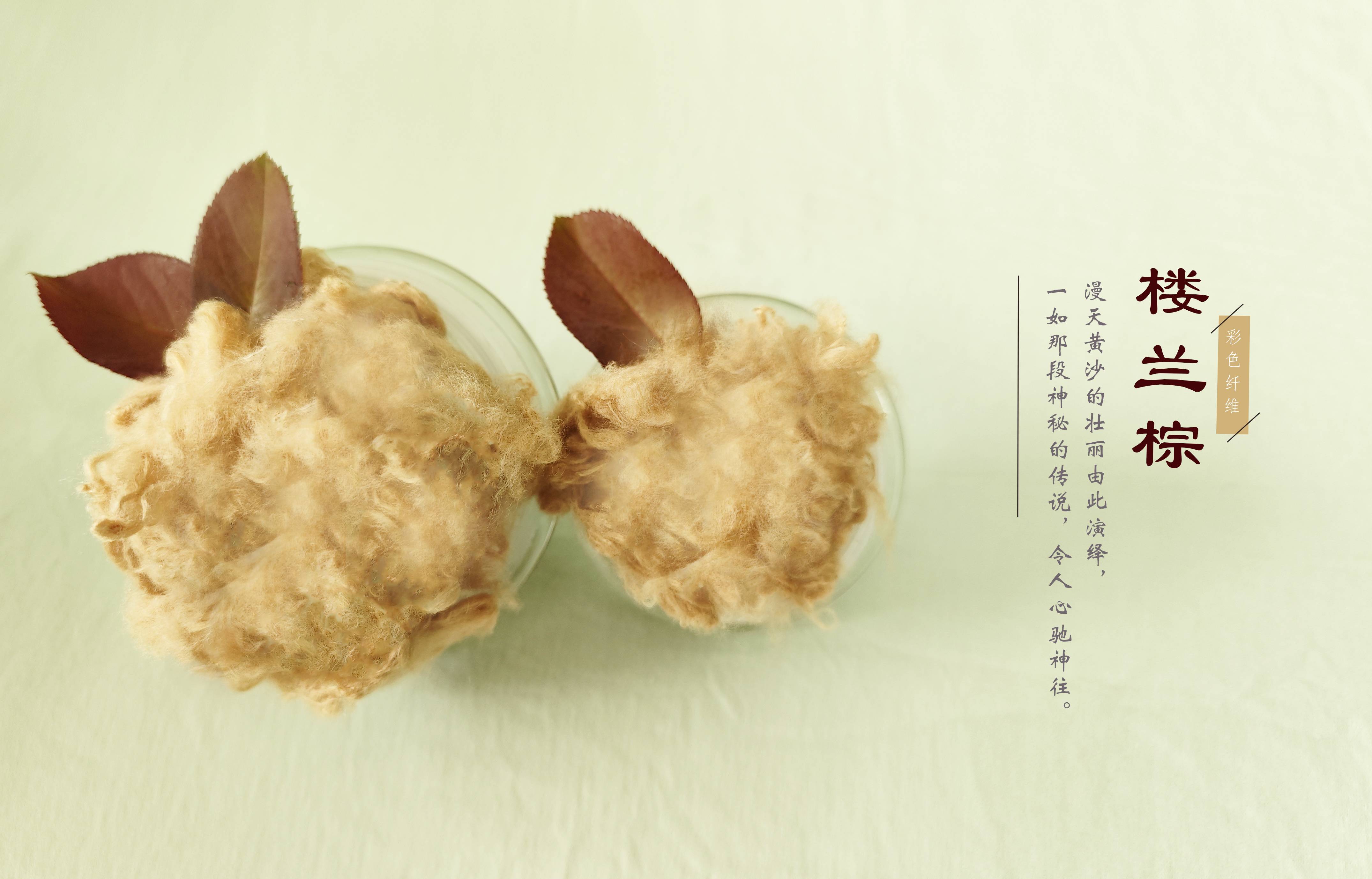 贝斯特 - 全球最奢华的游戏平台