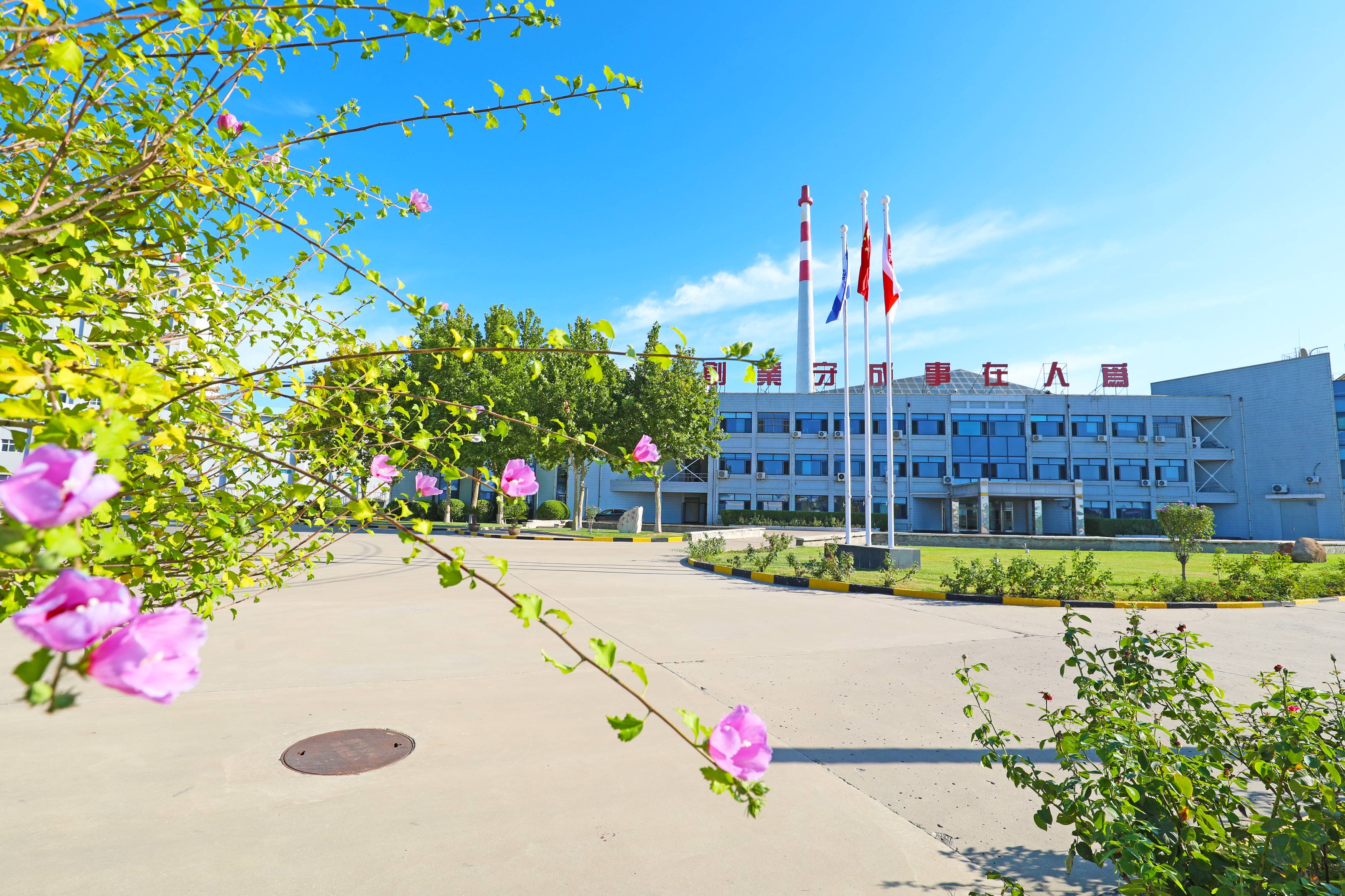 贝斯特 - 全球最奢华的游戏平台