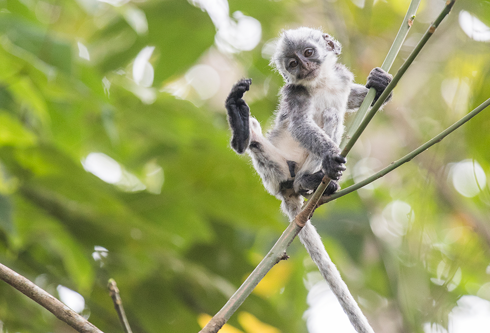 贝斯特 - 全球最奢华的游戏平台